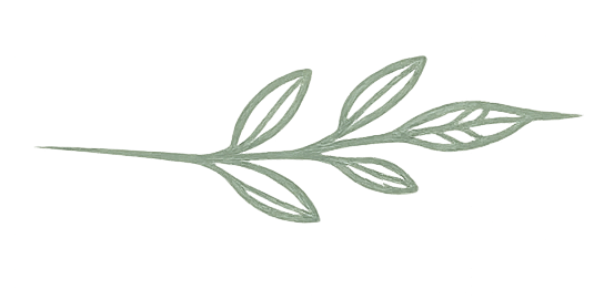 feuille verte botanique